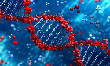 B. Sc. in Biochemistry & Molecular Biology